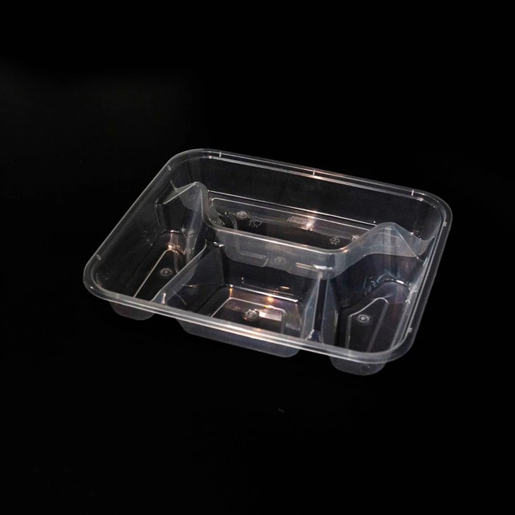 Disposable Divided Plastic Food Boxes - Hygienic and Convenient (4)