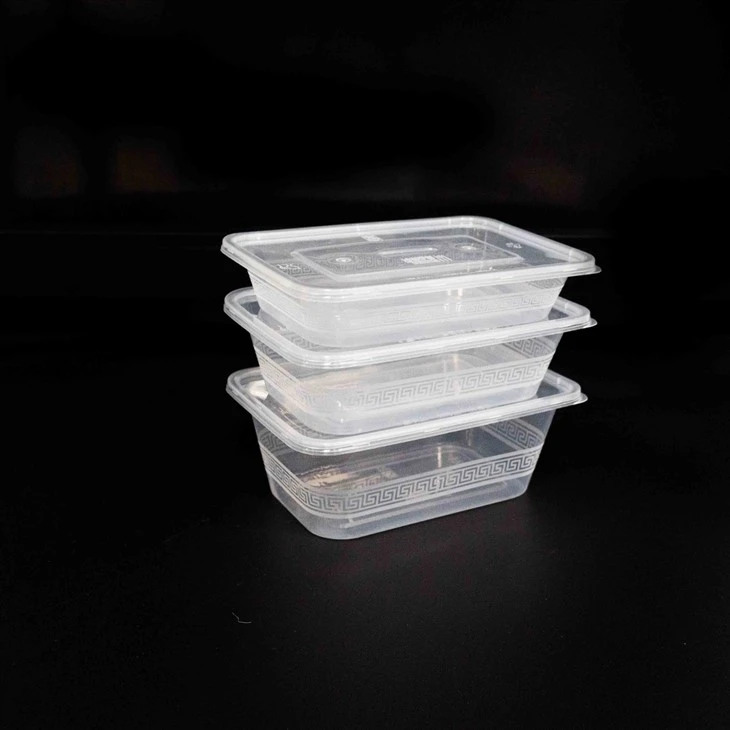 Disposable Plastic Boxes - Hygienic and Convenient for Events (16) Disposable Plastic Boxes - Hygienic and Convenient for Events (16)