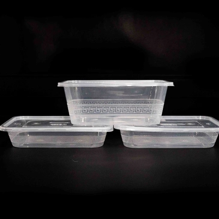 Disposable Plastic Food Boxes - The Choice of Chefs for Convenience (7)